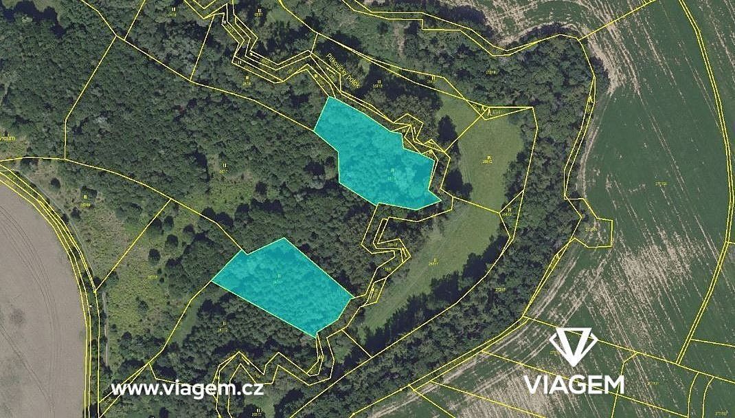 Les, 5 555 m²