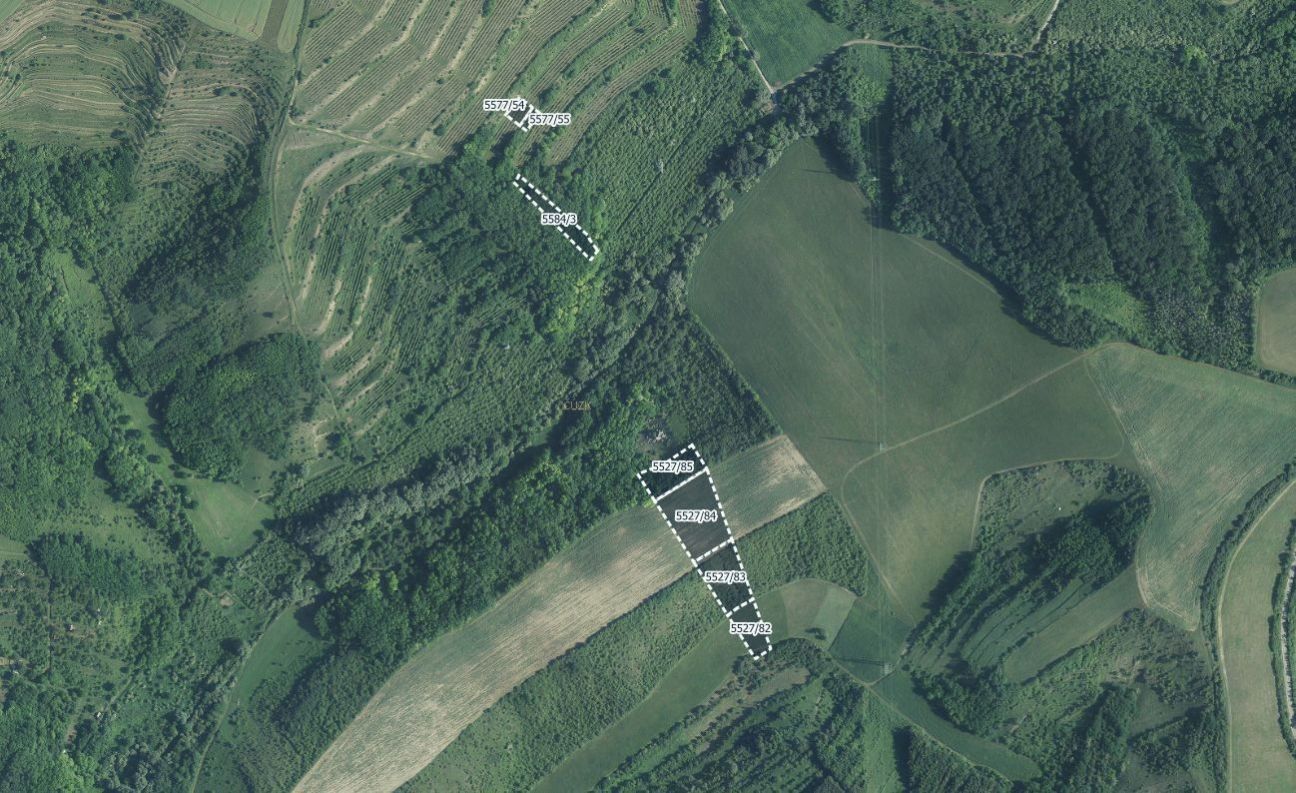 Prodej zemědělský pozemek - Hustopeče