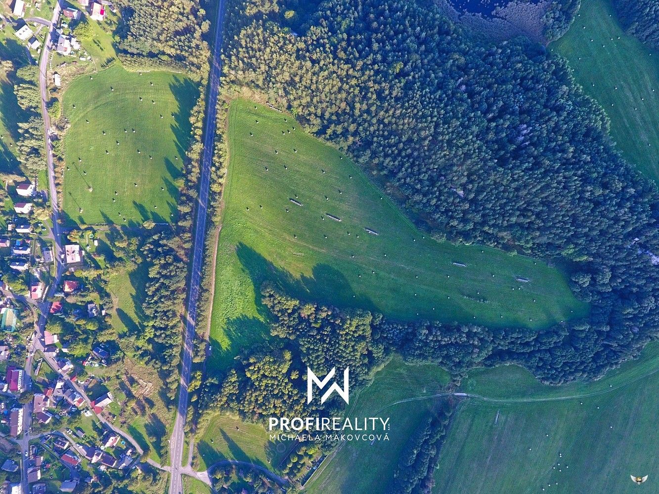 Louka · Cvikov - Drnovec, okres Česká Lípa, Liberecký kraj - 4