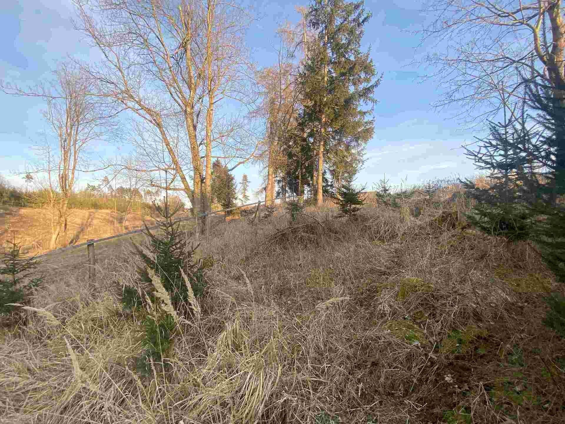 Prodej pozemek - Kočov, 5 m²