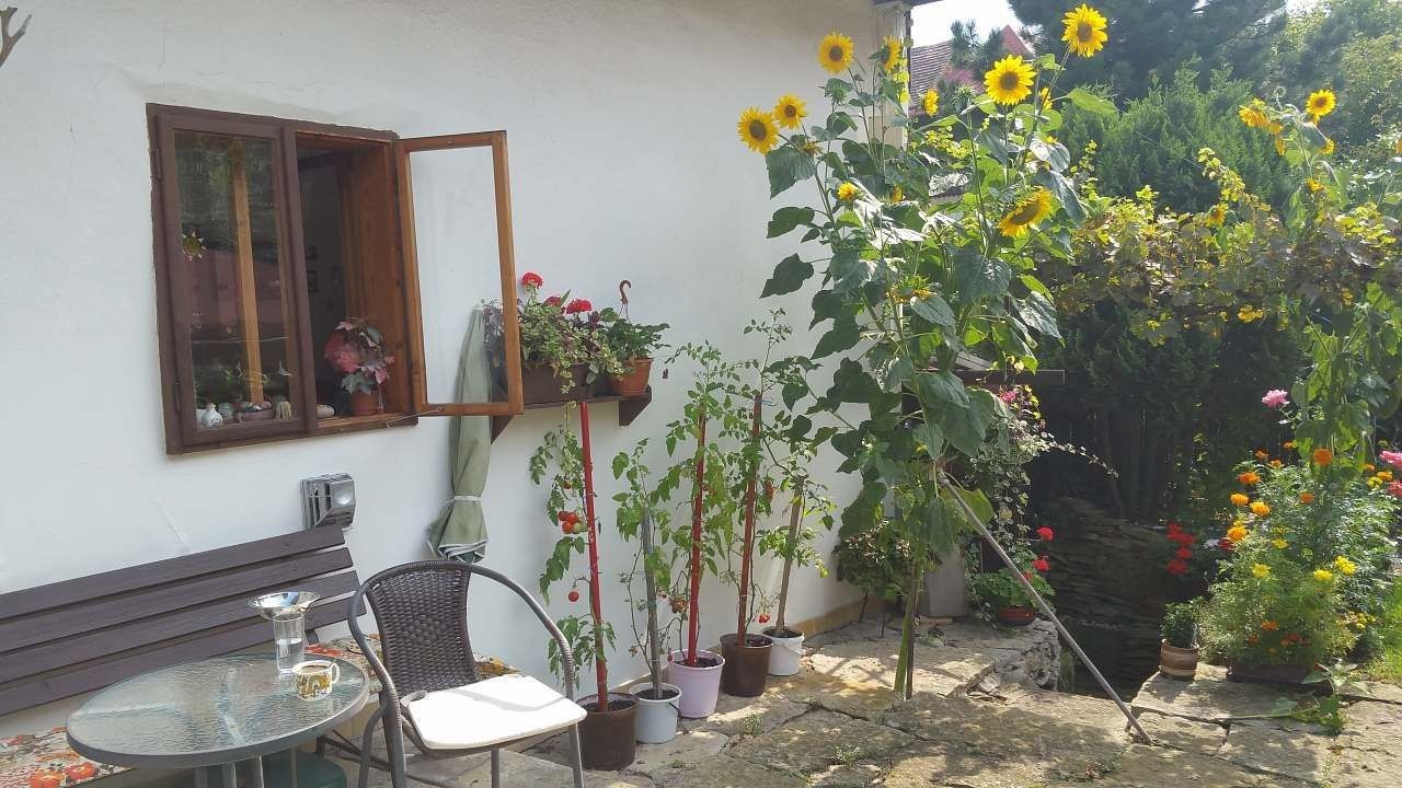 Chata · Opočno - Opočno pod Orlickými horami, Královéhradecký kraj - 3