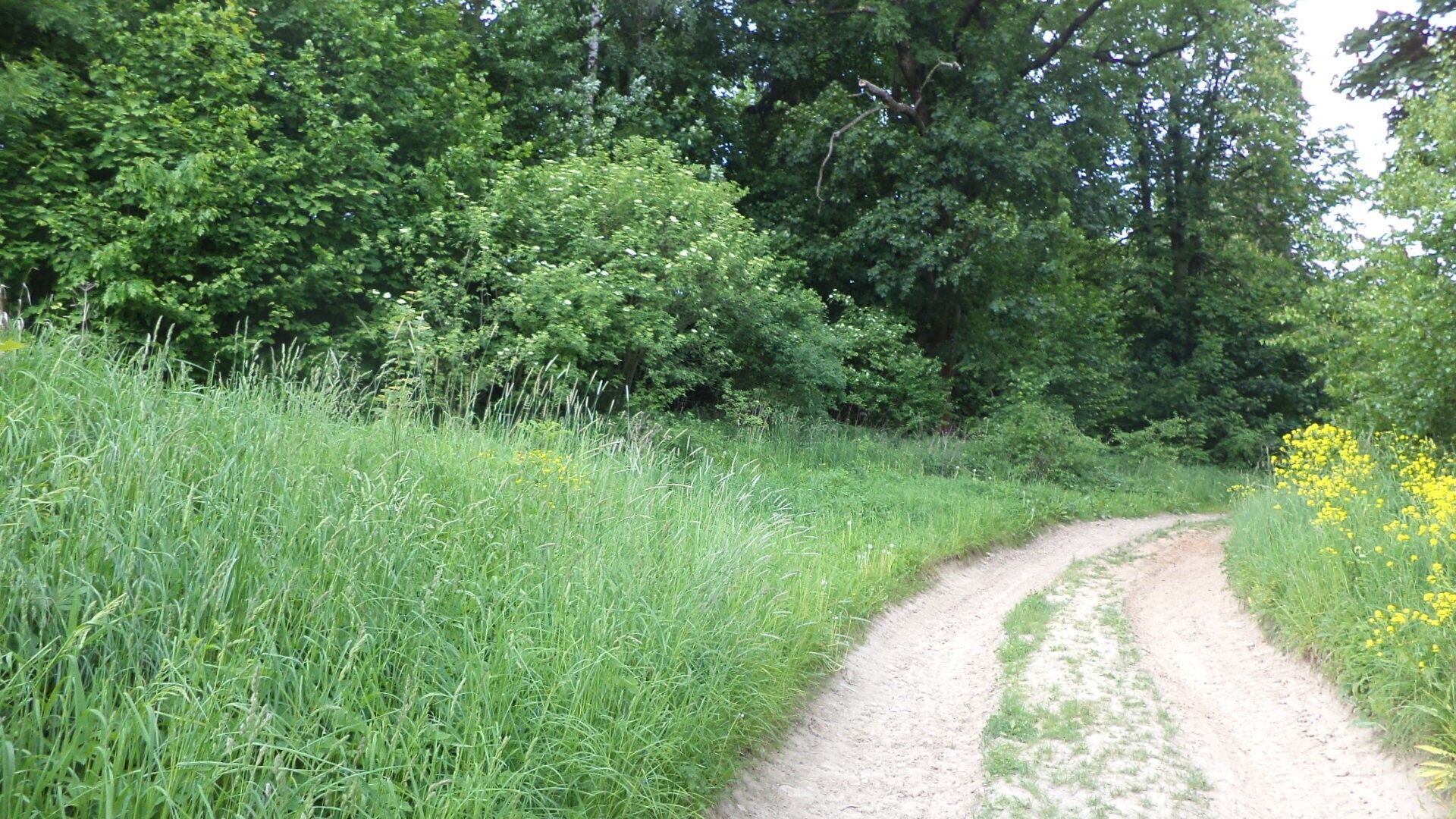 Pozemek pro bydlení · 1 135 m² · Pohledy Horní Hynčina - 3