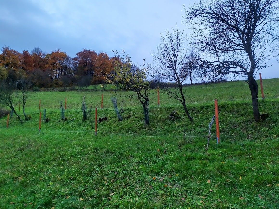 Pozemek pro bydlení · Valašská Polanka, 756 11 - 3