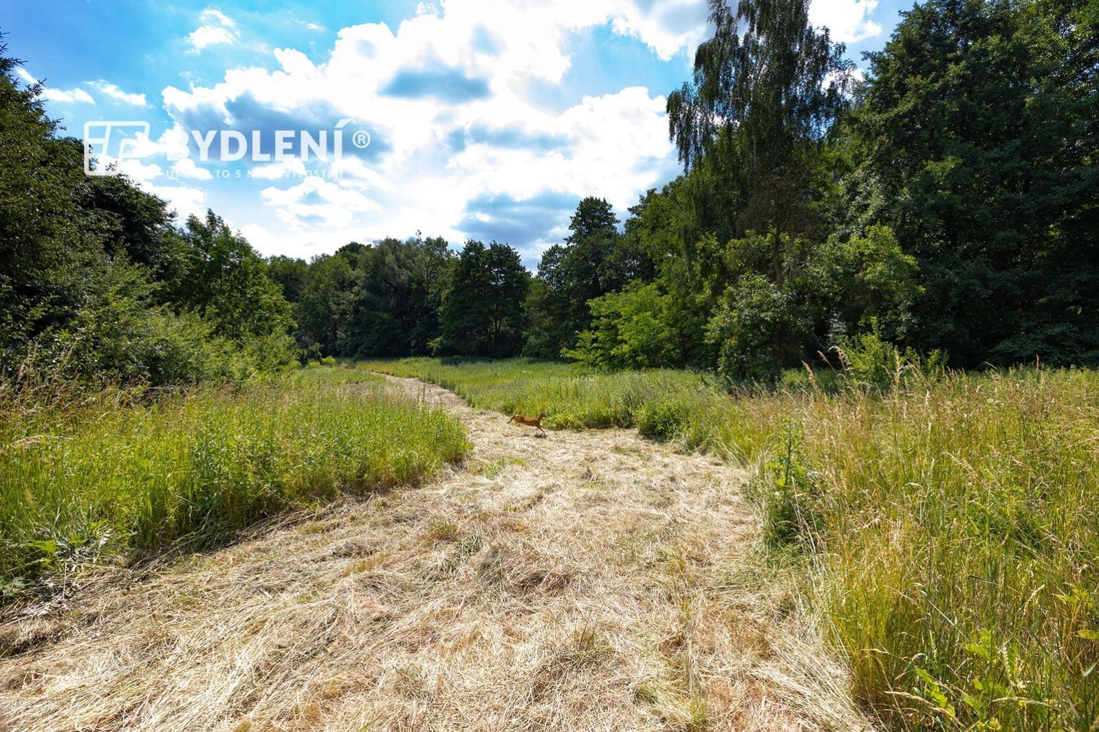 Prodej pozemek pro bydlení - Velemín - 5