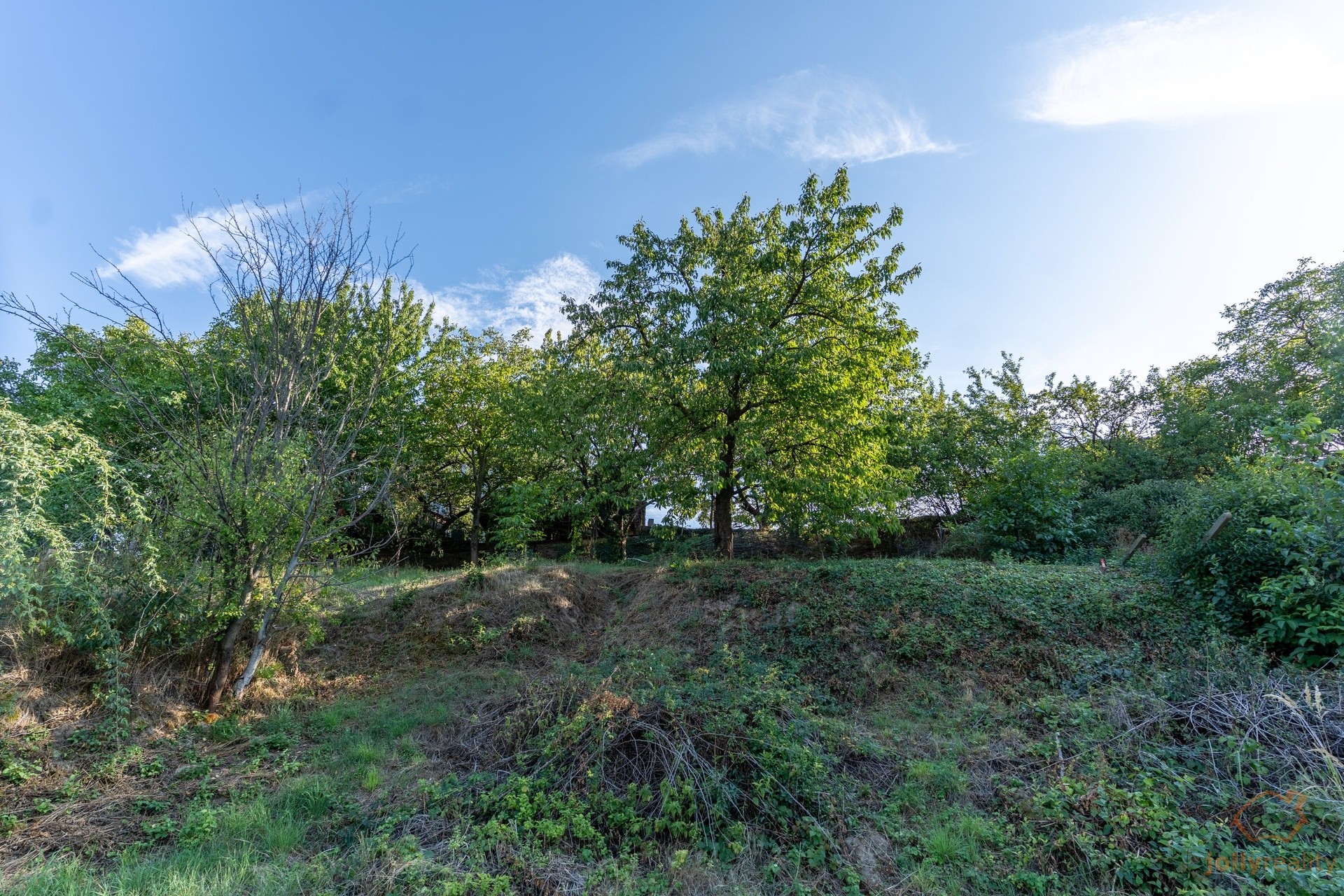 Rodinný dům · 123 m² · Zelnice, Velké Pavlovice - 3