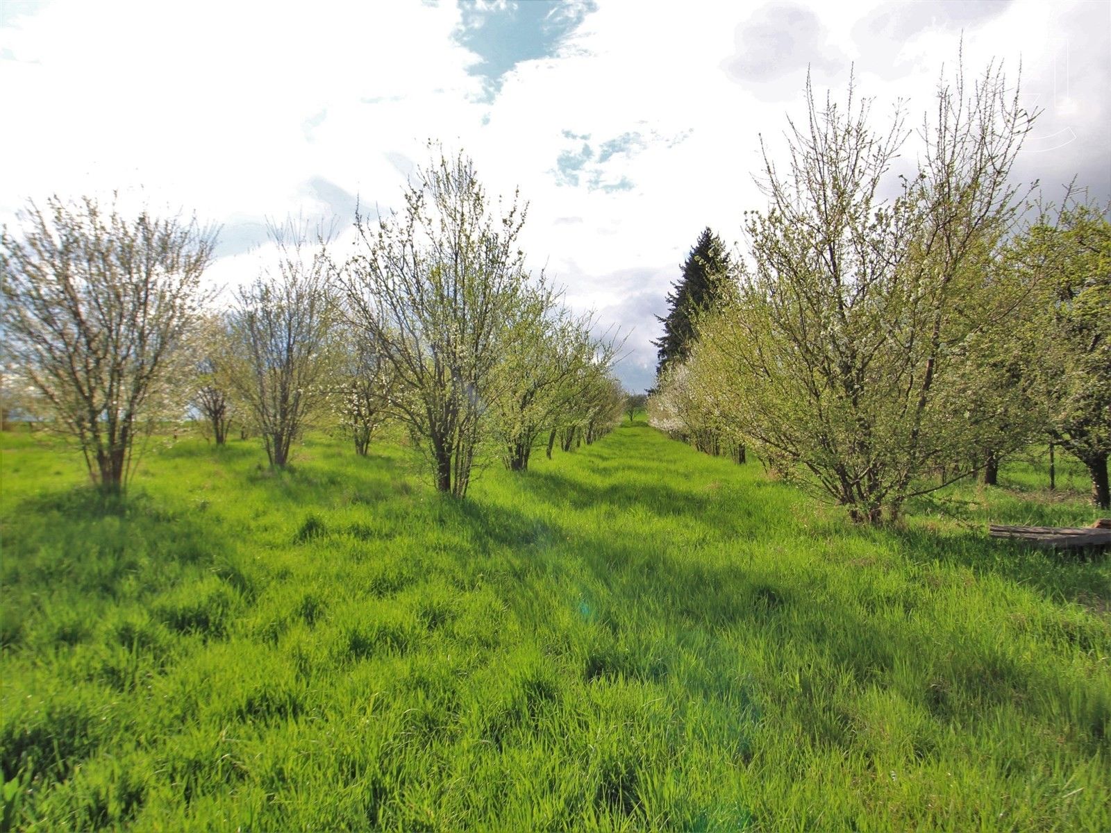 Prodej pozemek pro bydlení - Chvalatice