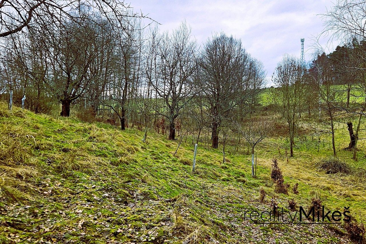 Louky, Sychrov - Radostín, okres Liberec, Liberecký kraj - 2