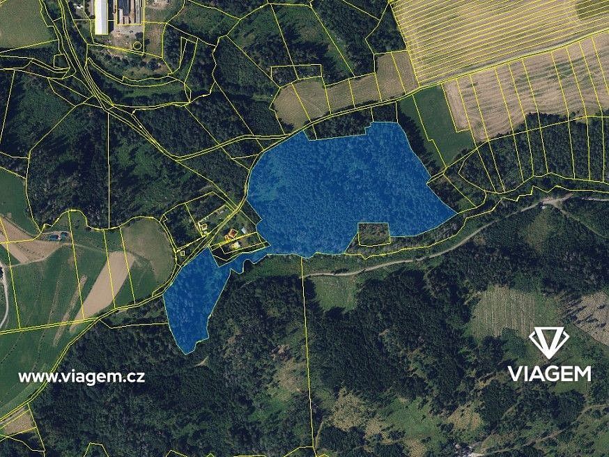 Les · Letovice, okres Blansko, Jihomoravský kraj - 3