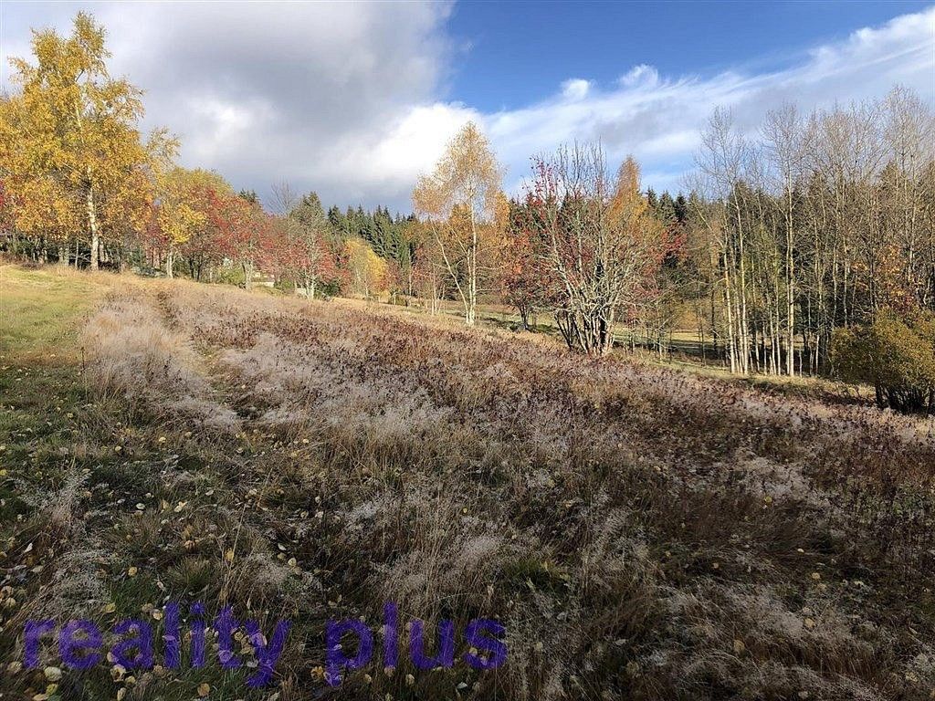Louky, Bedřichov, okres Jablonec nad Nisou, Liberecký kraj - 2