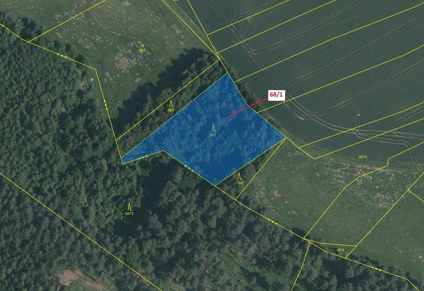 Les · Krátošice, okres Tábor, Jihočeský kraj - 2