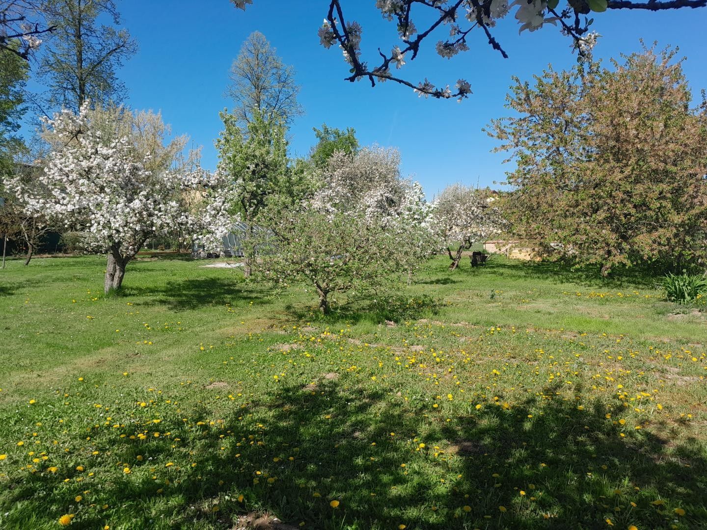 Pozemek pro bydlení · Bor, Protivín - 4