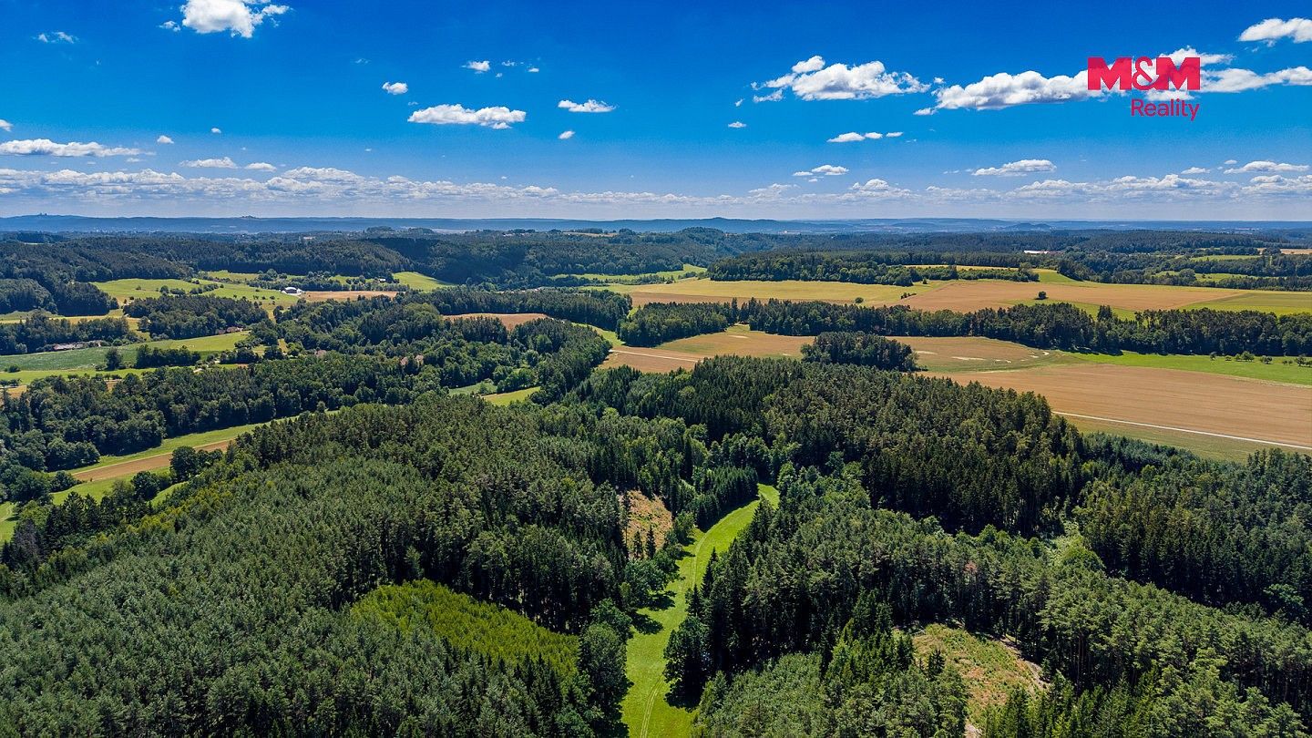 Les · Bílá, okres Liberec, Liberecký kraj - 3