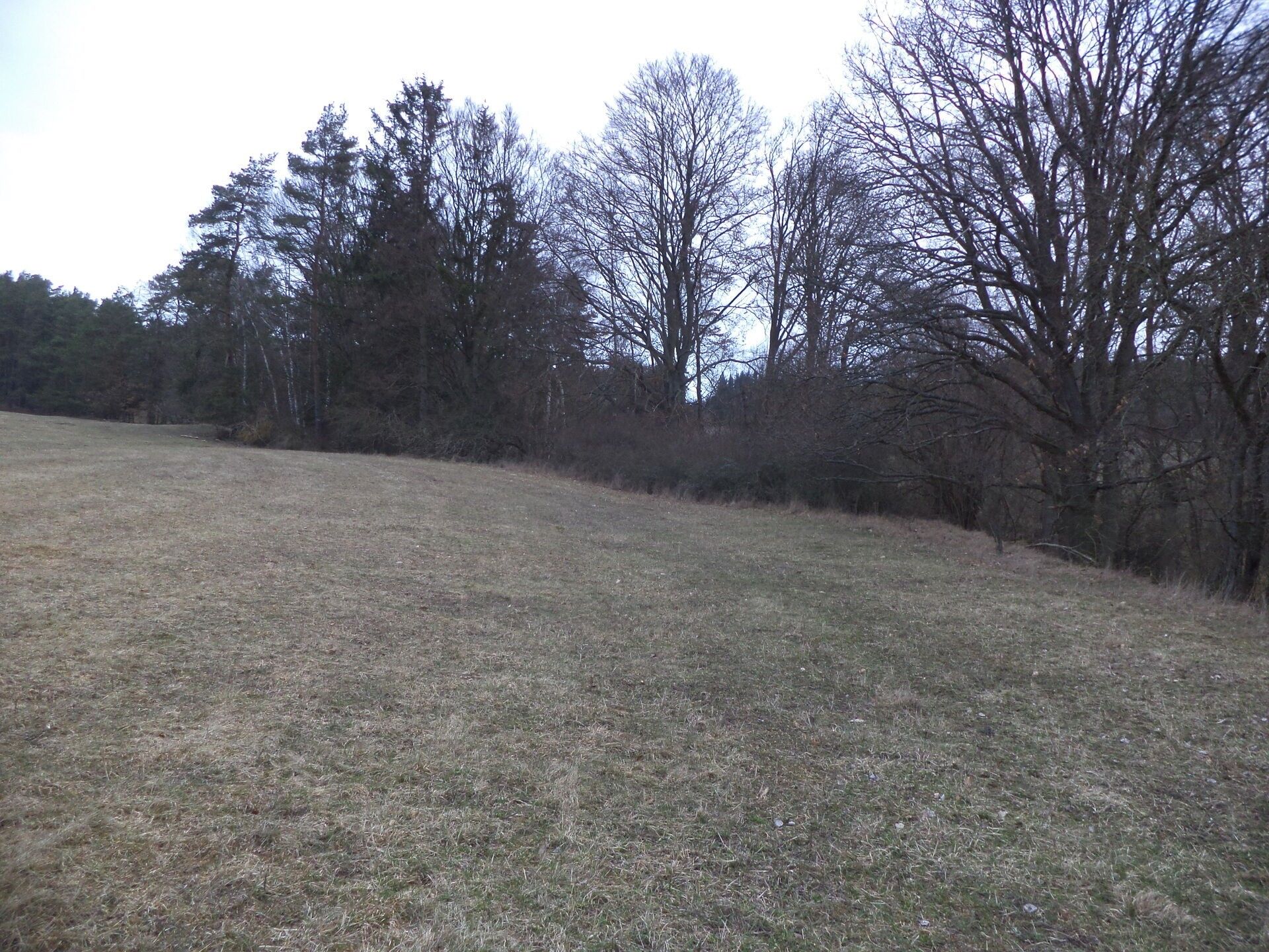 Zemědělský pozemek · 6 625 m² · Tis u Blatna Balková - 3