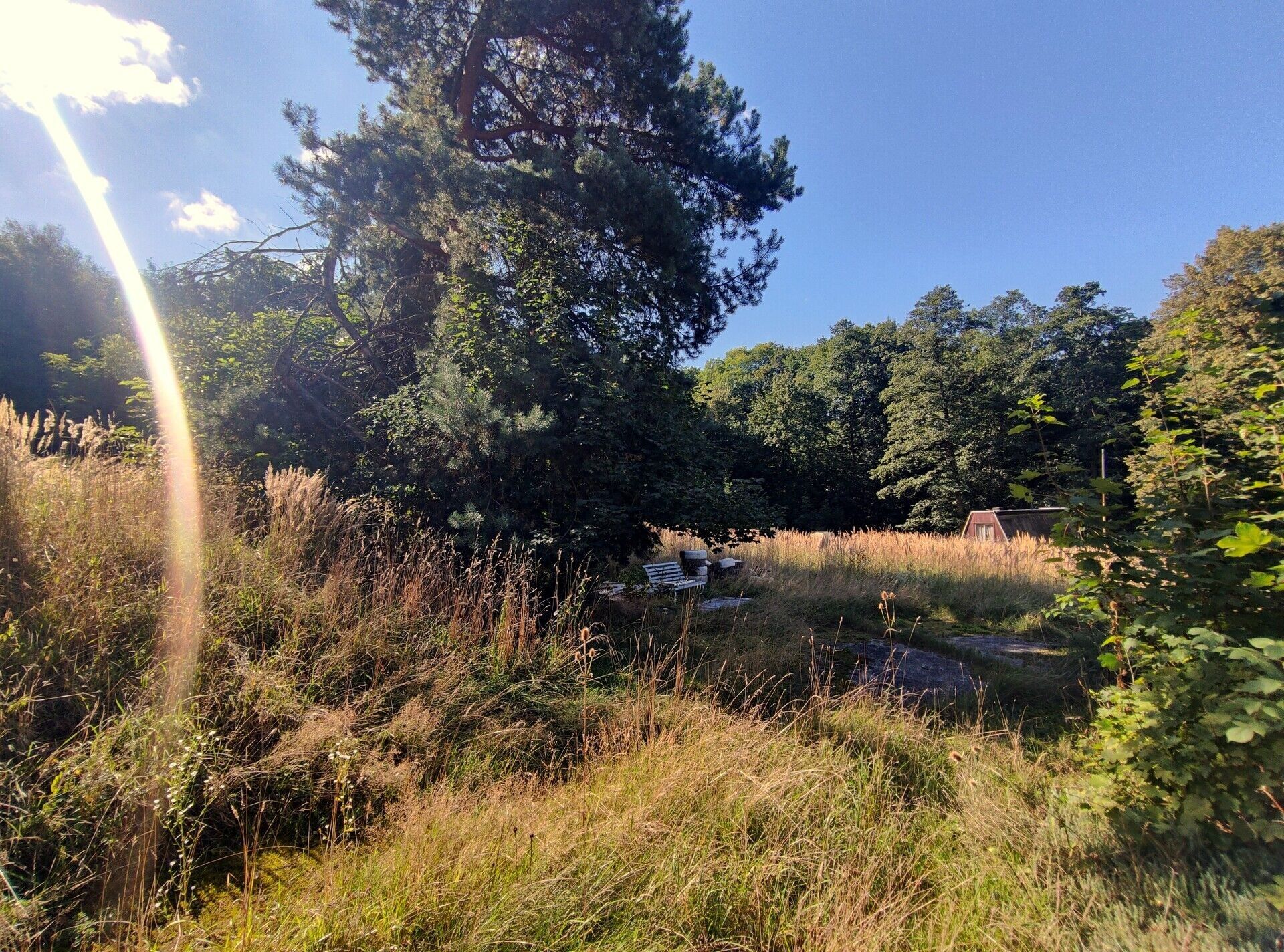 Zahrady, Podvrší  , Ostrava Radvanice, 3 278 m² - 2