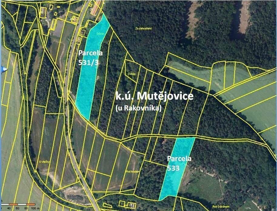 Pronájem zemědělský pozemek - Mutějovice, 13 m²