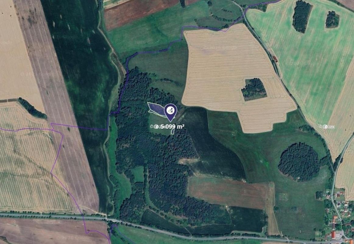 Prodej les - Čepřovice, 5 099 m²