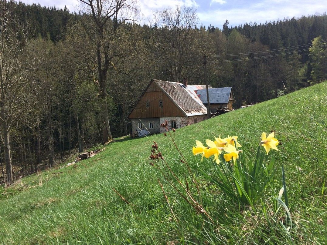 Chalupy, Horní Maršov, 80 m²