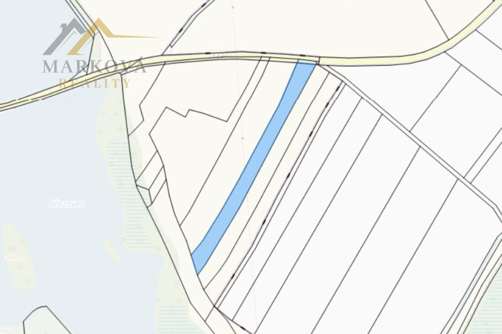 Zemědělský pozemek · 10 895 m² · Dívčice - 4