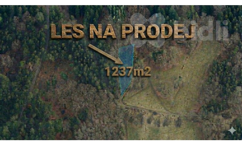 Lesy, Šumburk nad Desnou, Tanvald