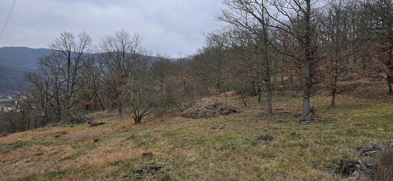 Les · Ústí nad Labem, Ústecký kraj - 3