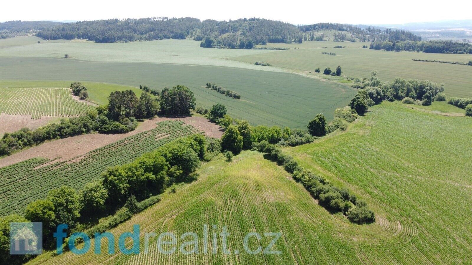 Ostatní, Radomyšl, 16 147 m² - 1