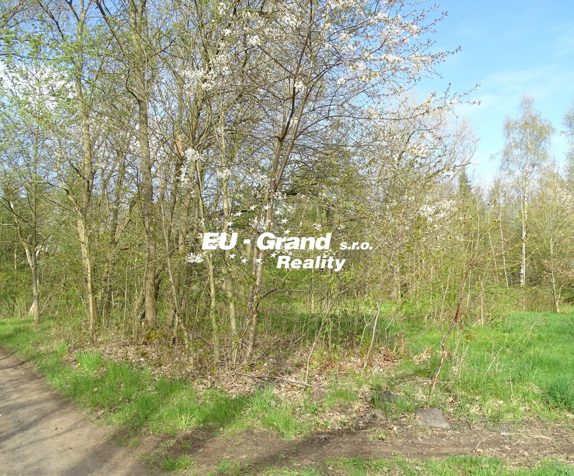 Prodej pozemek - Varnsdorf