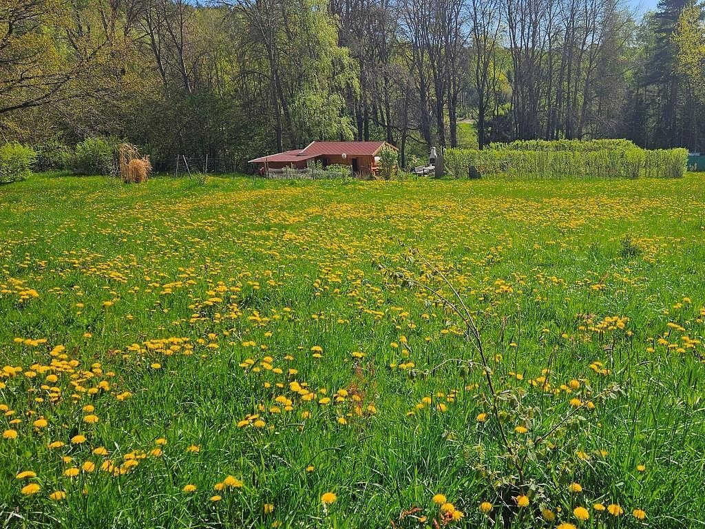 Pozemek pro bydlení · Omlenice, okres Český Krumlov, Jihočeský kraj - 3