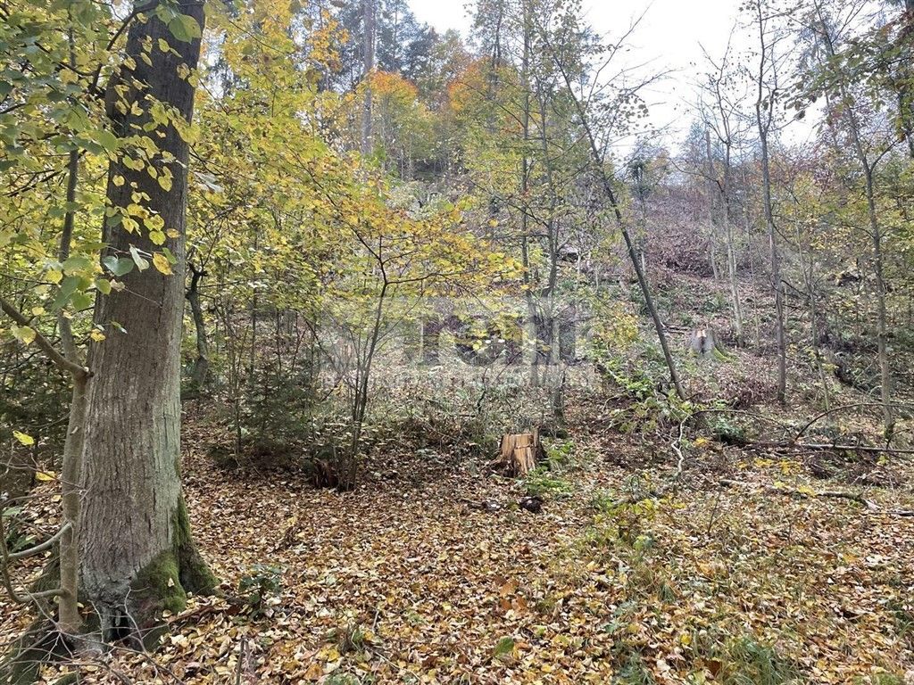 Prodej les - Tábor, 13 m²