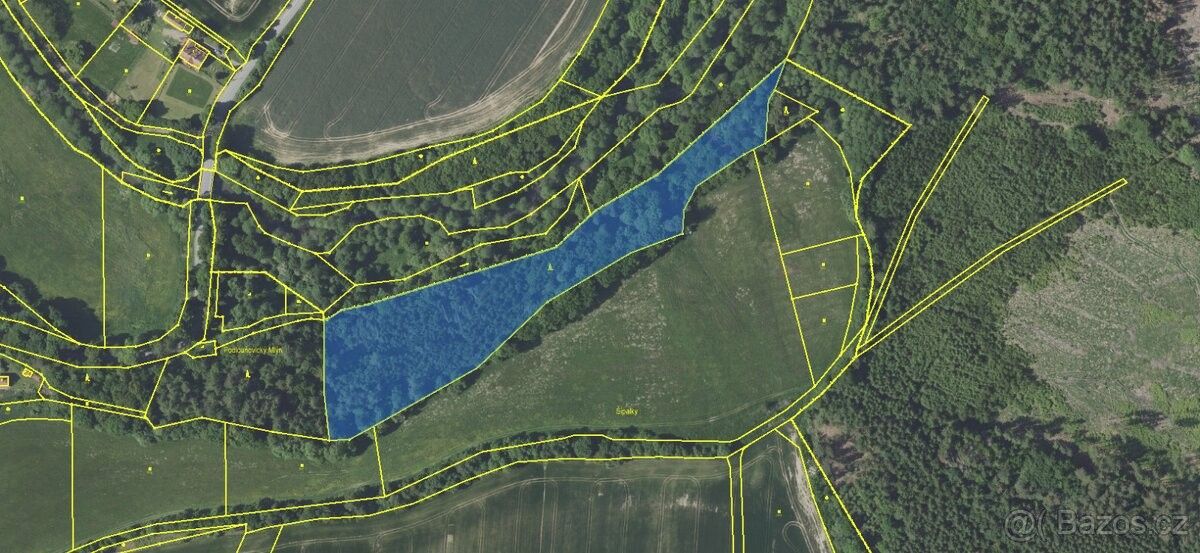 Prodej pozemek pro bydlení - Louňovice pod Blaníkem, 257 06