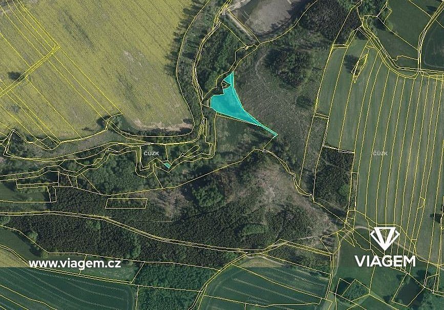 Les · Žirovnice, okres Pelhřimov, Kraj Vysočina - 3