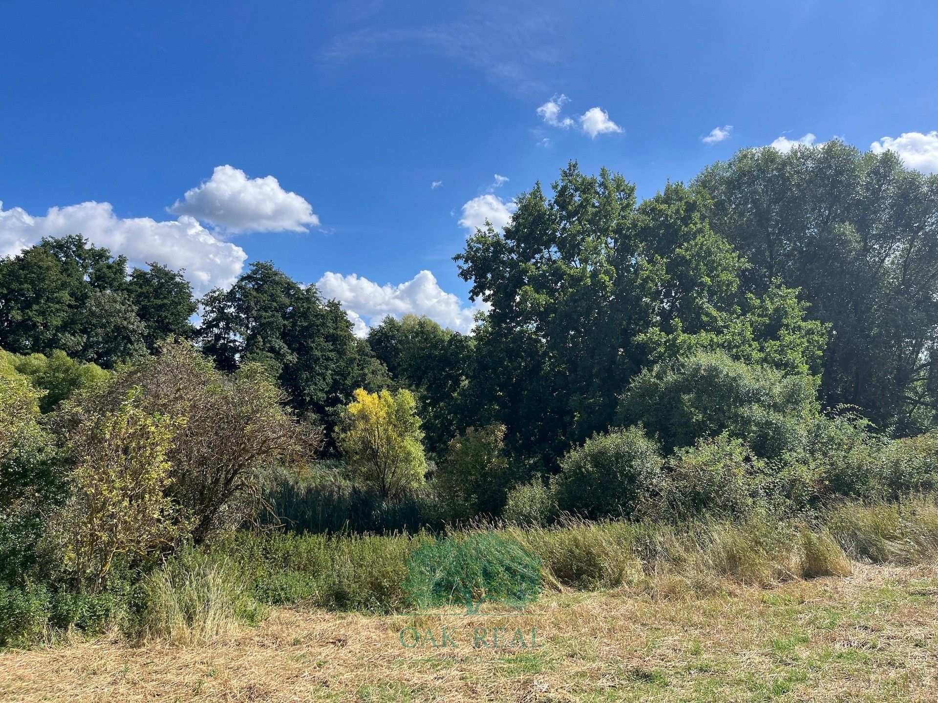 Louky, Královice, Praha