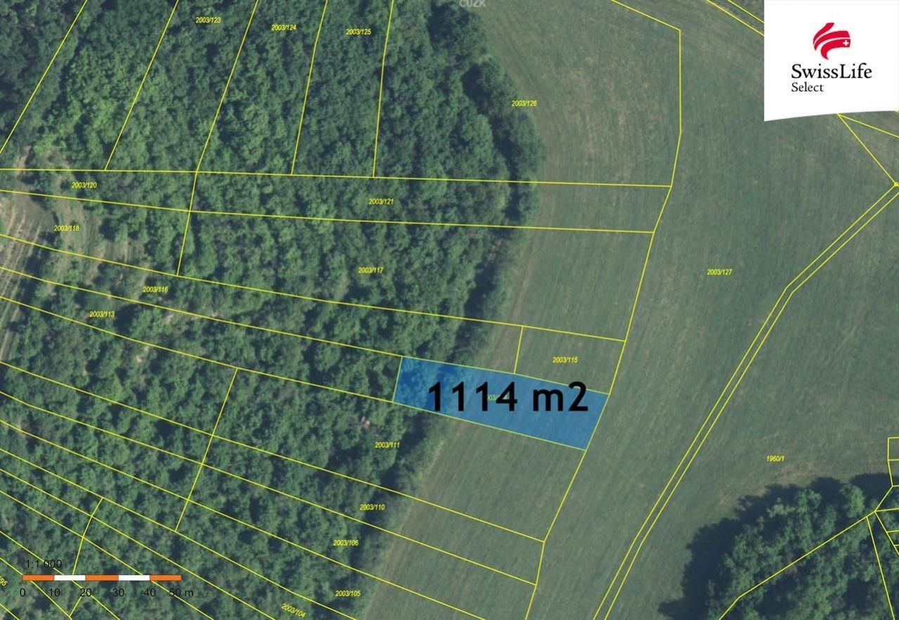 Komerční pozemek · 3 394 m² · Brumovice - 3