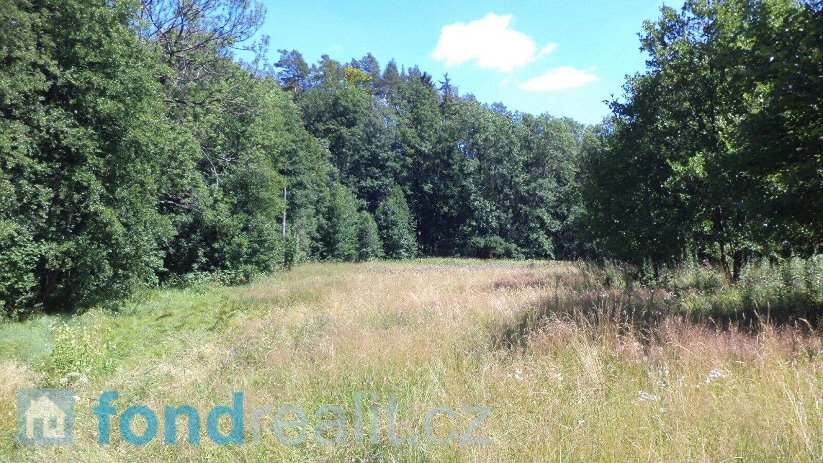 Zemědělské pozemky, Mařenice, 19 744 m² - 2