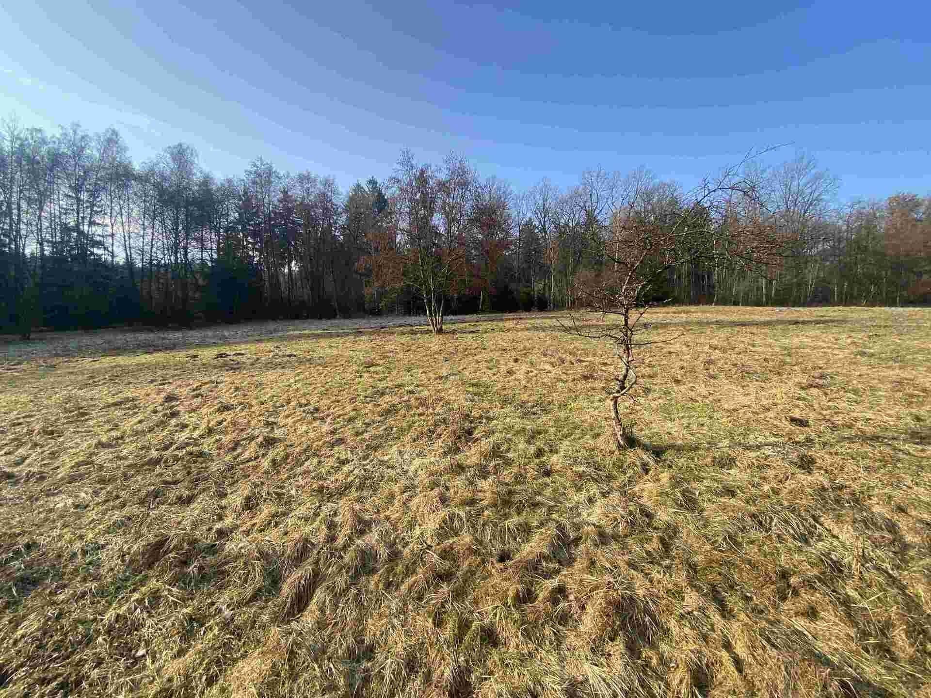 Zemědělské pozemky, Karlovice, 5 206 m² - 2