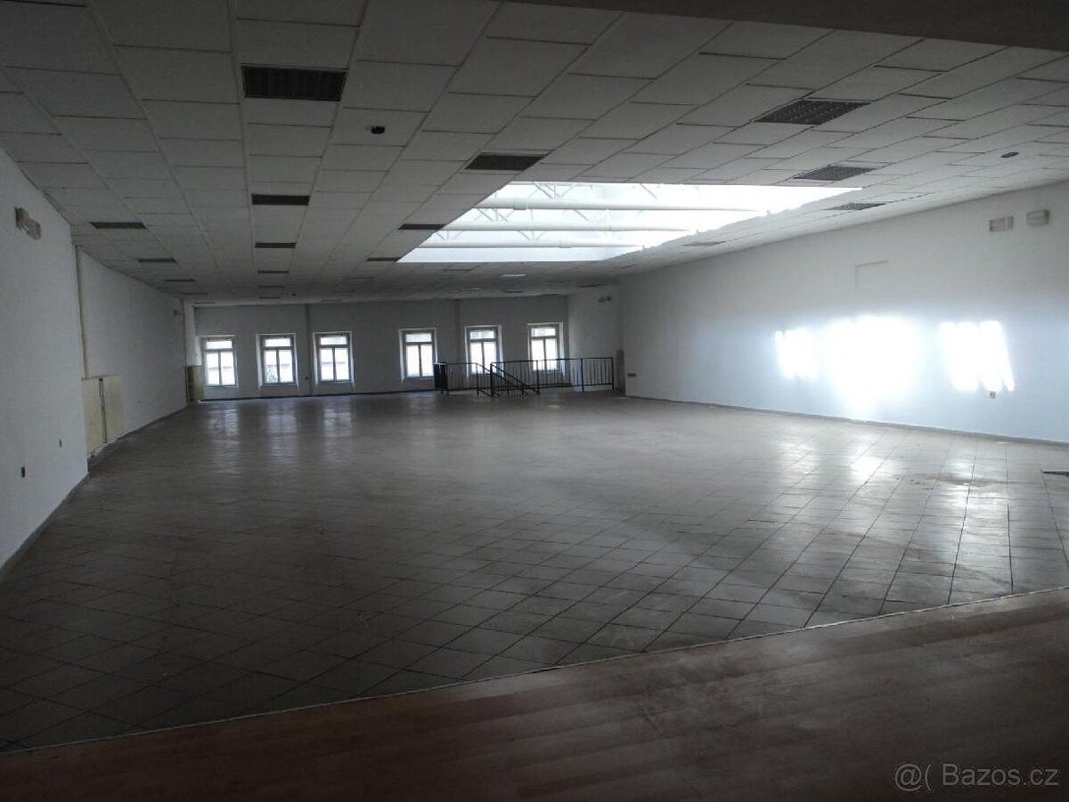 Obchodní prostory, Sušice, 342 01