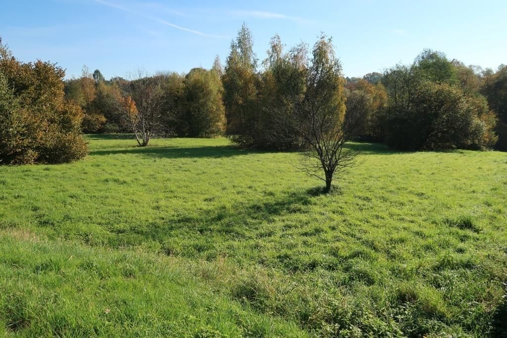 Pozemek · 8 786 m² · Orlovská  , Havířov Dolní Suchá - 4