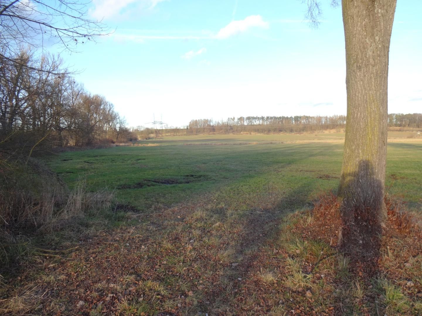 Zemědělský pozemek, 1 803 m²