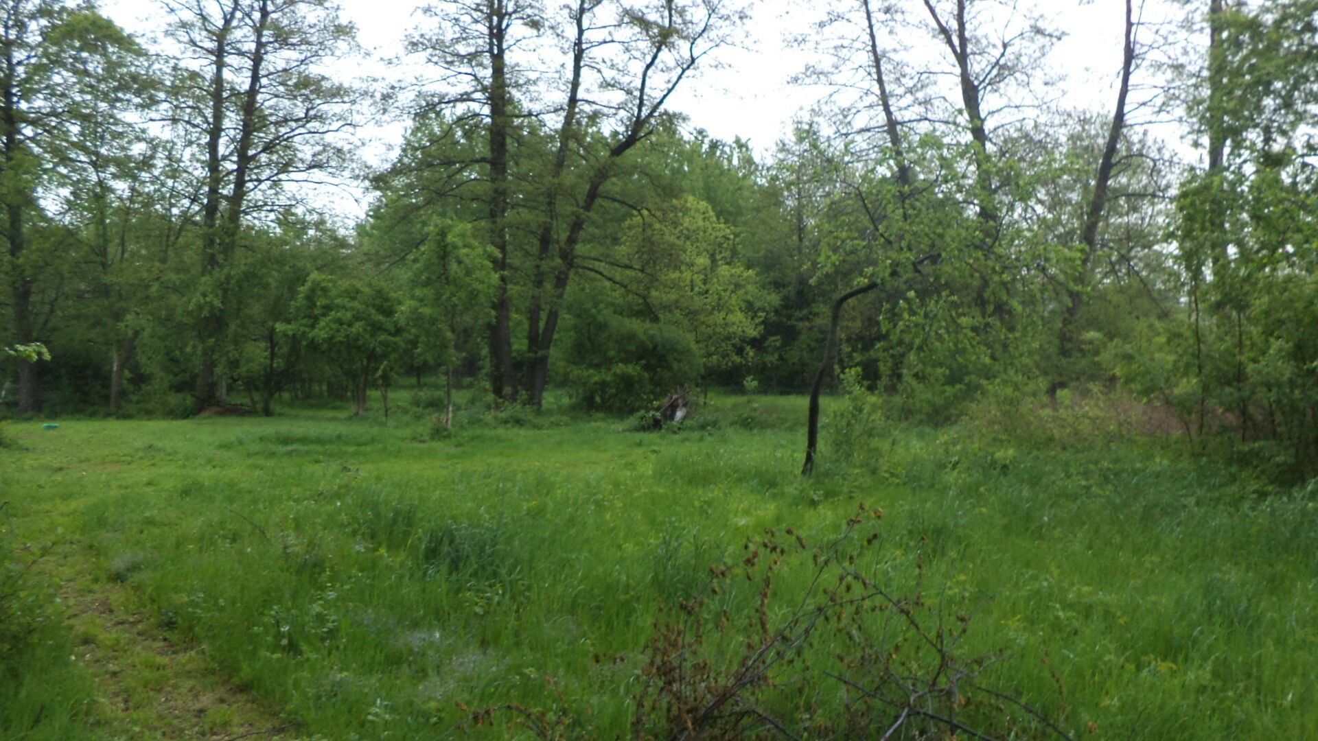 Pozemek · 1 387 m² · Vlčice - 3