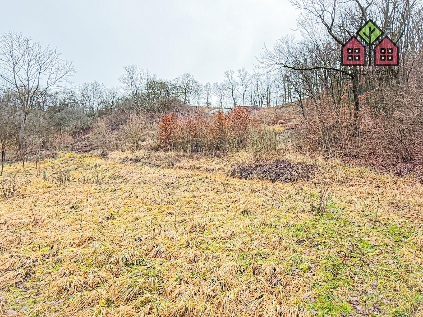 Prodej zahrada - Žitenice, 4 999 m²