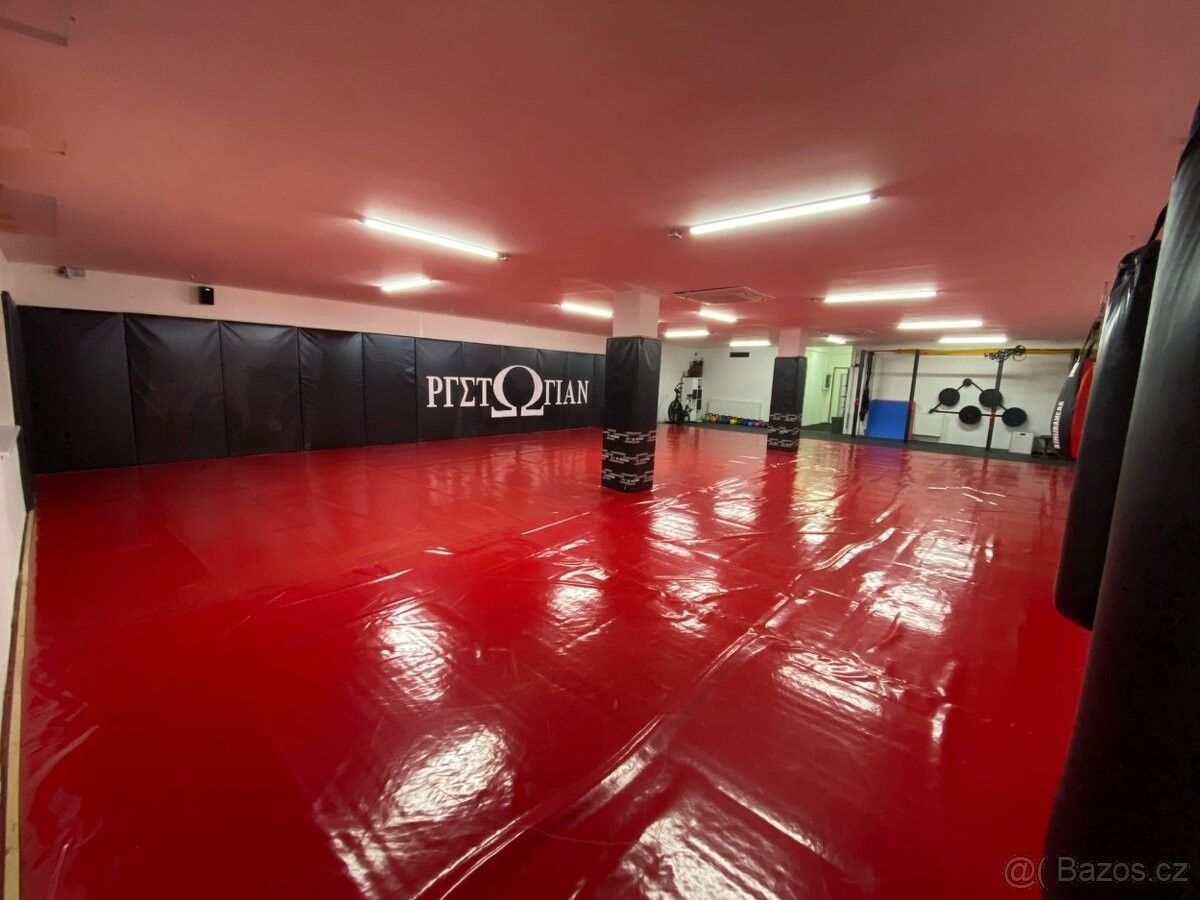 Pronájem ostatní - Židlochovice, 667 01