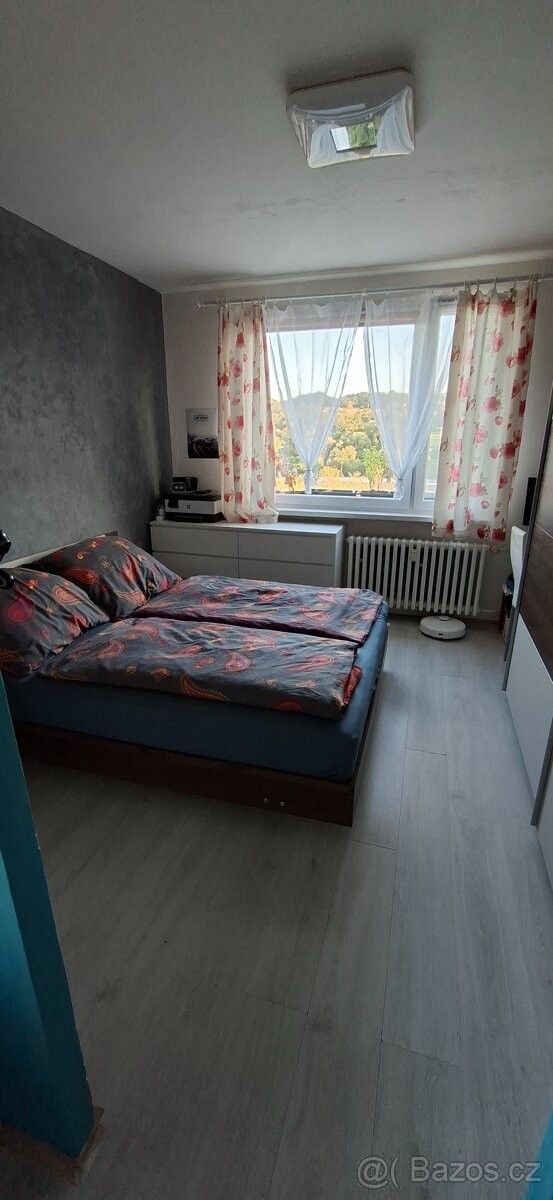 Byt · Jílové u Děčína, 407 01 - 3