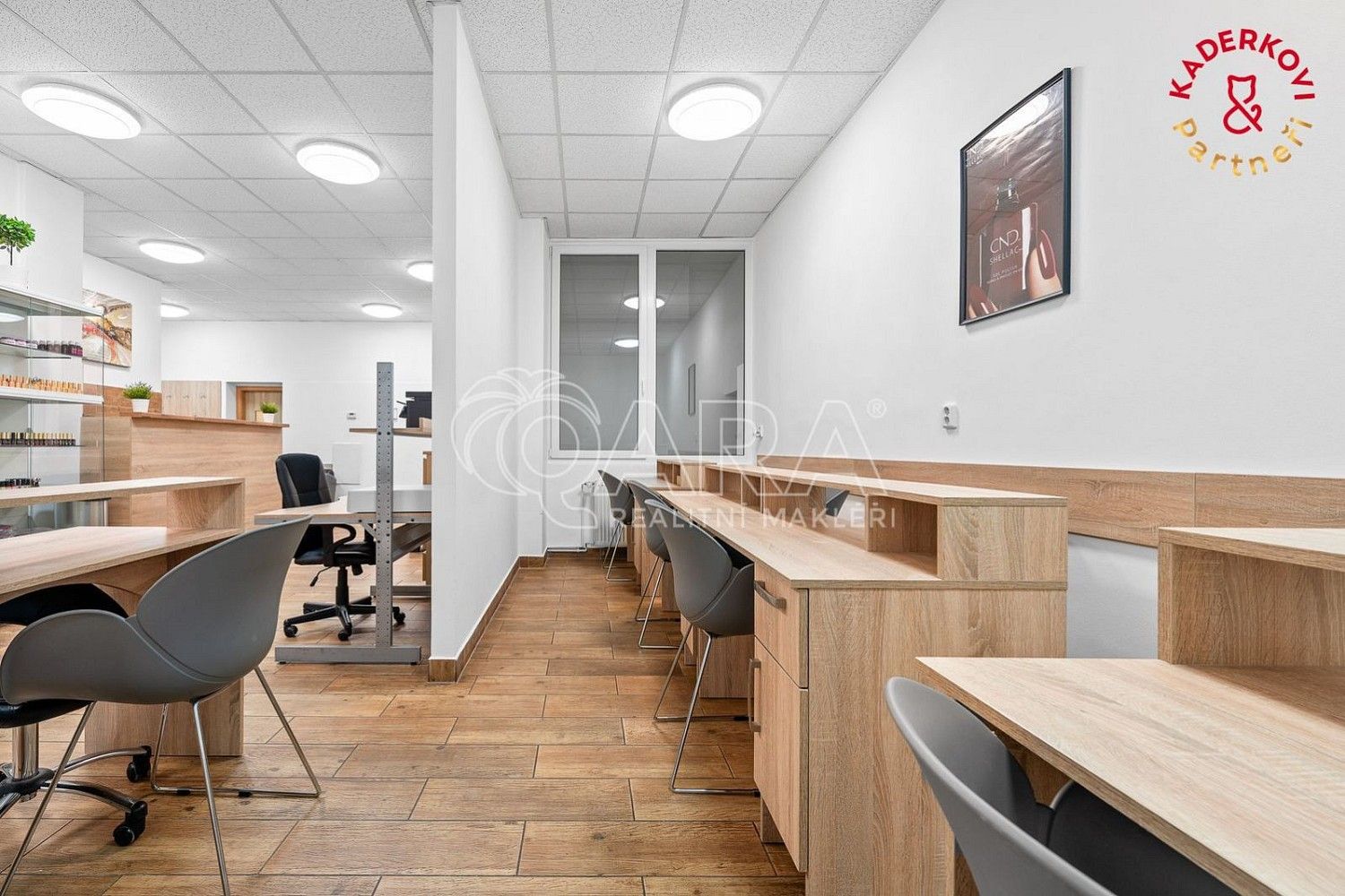 Obchodní prostory · 326 m² · Brno - Veveří, okres Brno-město, Jihomoravský kraj - 4