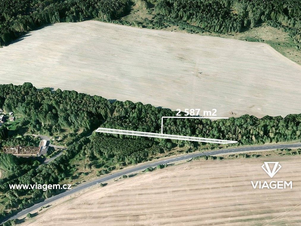 Prodej les - Cheb, Karlovarský kraj - 1