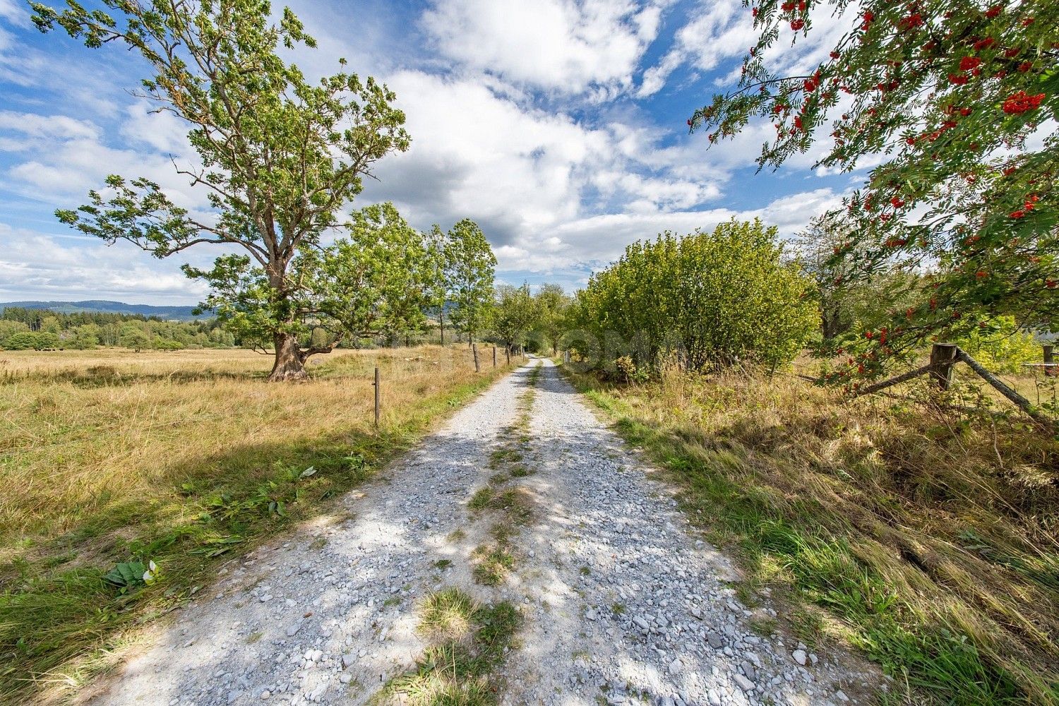 Prodej pozemek pro bydlení - Nová Pec, okres Prachatice - 5