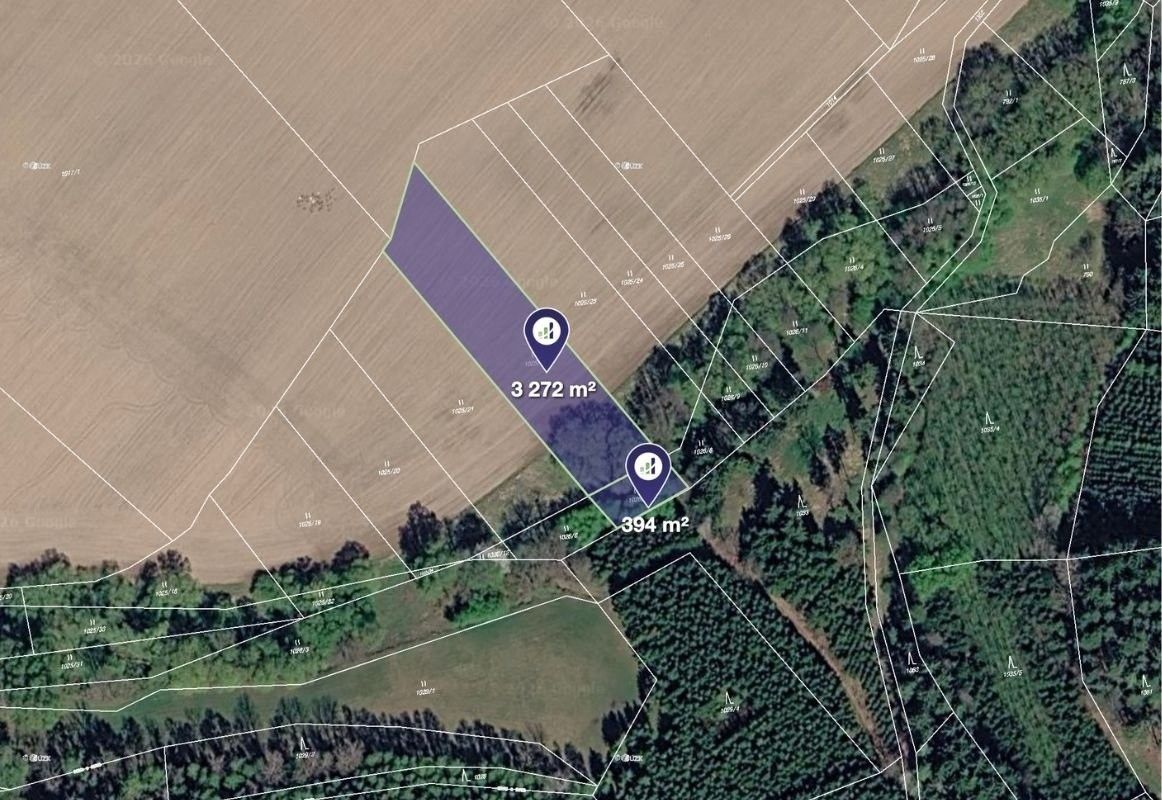 Prodej zemědělský pozemek - Heřmaničky, 14 014 m² - 1