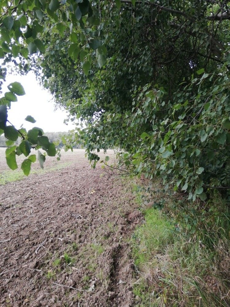 Zahrady, Olomouc, 783 01