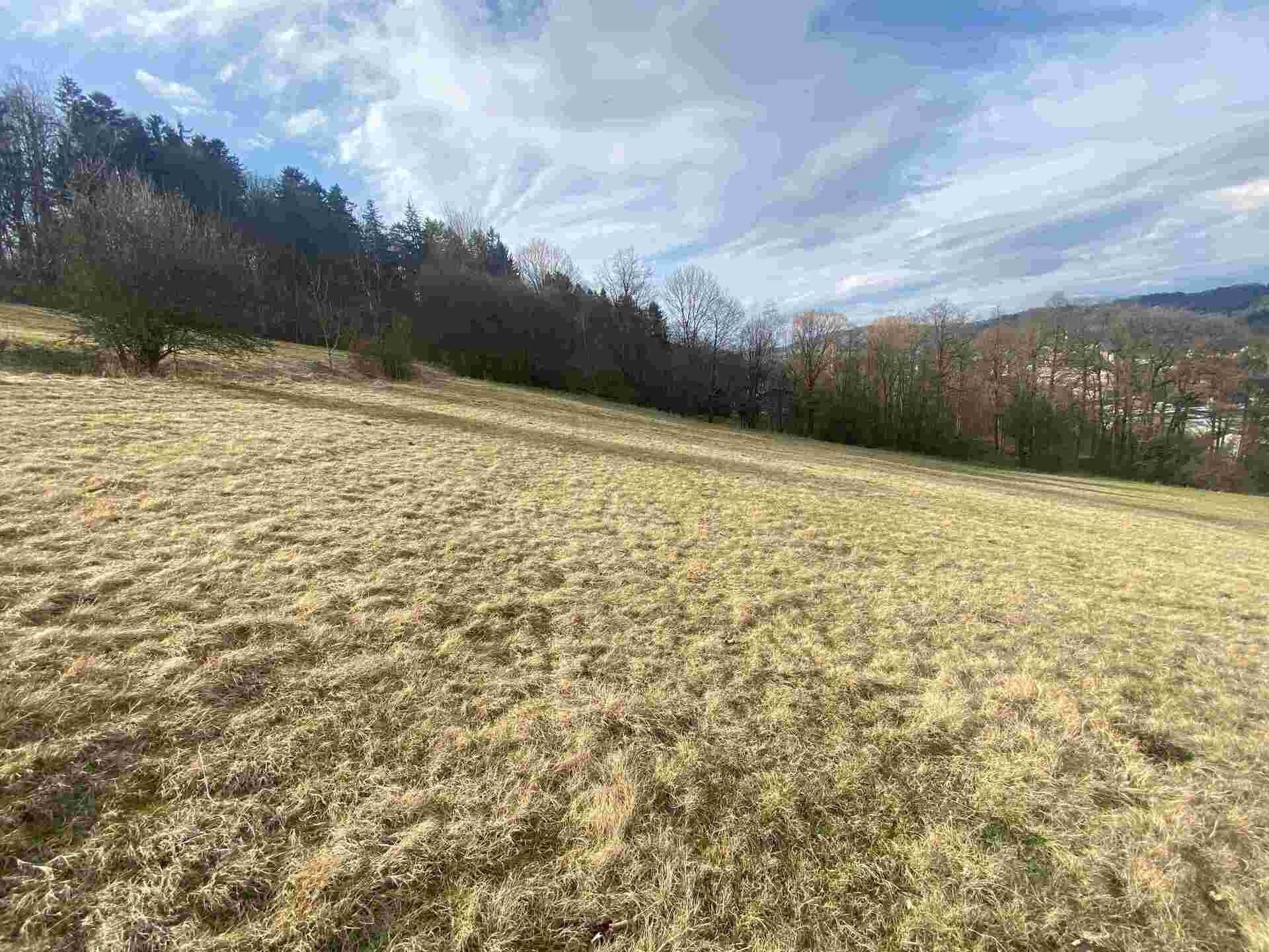 Prodej zemědělský pozemek - Semily, 29 m²