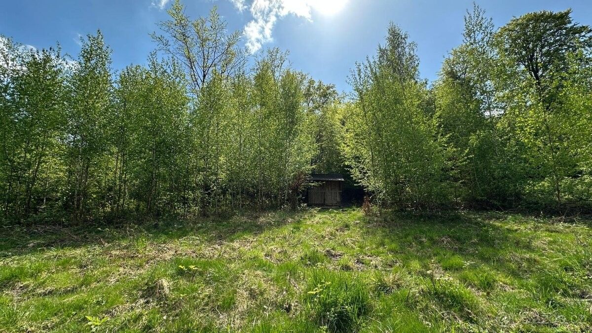 Prodej pozemek pro bydlení - Červený Kostelec, 549 41 - 2