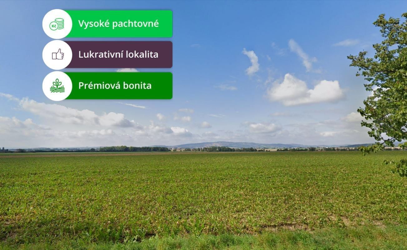 Zemědělské pozemky, Dlouhá Loučka, 84 650 m²