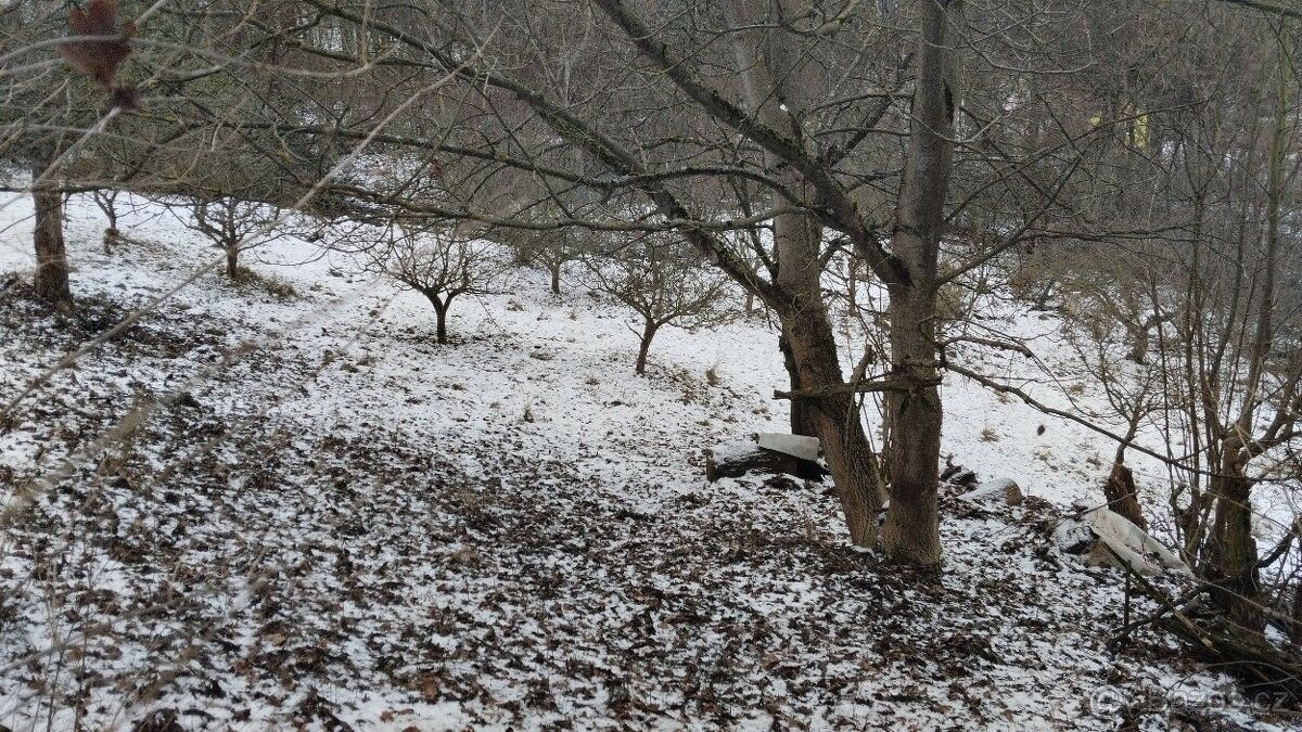 Pronájem zahrada - Ústí nad Labem, 403 31